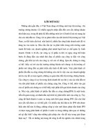 Đề tài thực trạng phát hành cổ phiếu lần đầu ra công chúng của các doanh nghiệp việt nam 