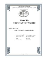 Tình hình hoạt động và kết quả kinh doanh của công ty cổ phần xi măng bỉm sơn