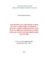 ảnh hưởng của chế phẩm vi sinh olavit và hỗn hợp (calphovit + olavit + adeb. complex) lên năng suất và hiệu quả kinh tế của heo con sau cai sũa huyện phong điền tp.cần thơ