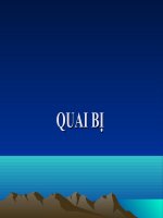 bài giảng bệnh QUAI bị 2012 PP 