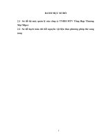 hoàn thiện công tác kế toán nguyên vật liệu tại cụng ty tnhh mtv tổng hợp thương mại mipec