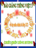 Bài giảng tiếng việt 3 tuần 12 bài chính tả   nghe   viết chiều trên sông hương, phân biệt ocooc, trch, atac 