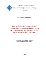 ảnh hưởng của giống heo và phái tính lên chỉ số iod và tính chất acid béo của mỡ heo nuôi ở đồng bằng sông cửu long