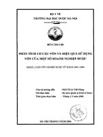 Phân tích cơ cấu vốn và hiệu quả sử dụng vốn của một số doanh nghiệp dược