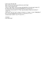 Mẫu bài viết về code