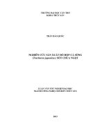 nghiên cứu sản xuất đồ hộp cá sòng (trachurus japonicus) sốt chua ngọt