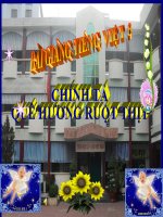 Bài giảng tiếng việt 3 tuần 10 bài chính tả   nghe   viết quê hương ruột thịt, phân biệt oaioay, ln, dấu hỏidấu ngã 