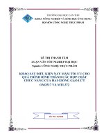 khảo sát điều kiện nảy mầm tối Ưu cho quá trình hình thành các hợp chất chức năng của hai giống gạo lứt om2517 và mtl372