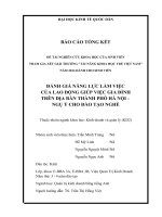 Đánh giá năng lực làm việc của lao động giúp việc gia đình trên địa bàn thành phố hà nội   ngụ ý cho đào tạo nghề