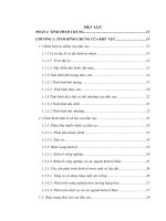 LẬP dự án đầu tư xây DỰNG hệ THỐNG tưới BT1