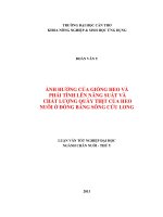ảnh hưởng của giống heo và phái tính lên năng suất và chất lượng quày thịt của heo nuôi ở đồng bằng sông cửu long