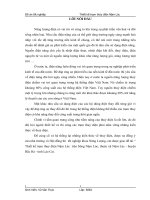 Thiết kế trạm thủy điện nậm lúc