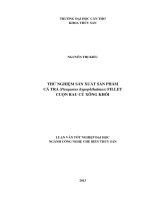 thử nghiệm sản xuất sản phẩm cá tra (pangasius hypophthalmus) fillet cuộn rau củ xông khói