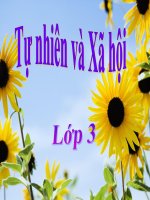 bài giảng chủ đề động vật cá 