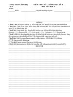 Đề thi HKII hóa học 9 huyện Bạch Thông