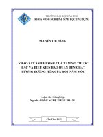 khảo sát ảnh hưởng của tám võ thuốc bắc và điều kiện bảo quản đến chất lượng đường hóa của bột nấm mốc