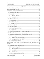 Thiết kế hồ chứa nước long mỹ PAII