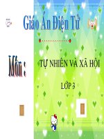 bài giảng chủ đề động vật 1 