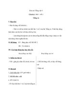 Giáo án tiếng việt 3 tuần 8 bài chính tả   nhớ   viết tiếng ru, phân biệt dgir, uônuông 