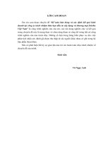 Kế toán bán hàng và xác định kết quả kinh doanh tại công ty trách nhiệm hữu hạn đầu tư xây dựng và thương mại soloha việt nam