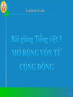 Bài giảng tiếng việt 3 tuần 8 bài luyện từ và câu   mở rộng vốn từ cộng đồng, ôn tập câu ai làm gì 