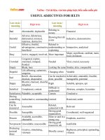 useful adjectives for ielts 