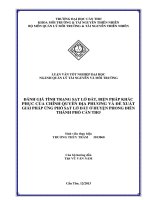 đánh giá tình trạng sạt lở đất, biện pháp khắc phục của chính quyền địa phương và đề xuất giải pháp ứng phó sạt lở đất ở huyện phong điền thành phố cần thơ