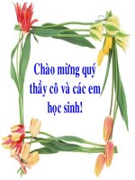 BÀI 28: ĐIỆN THẾ NGHỈ