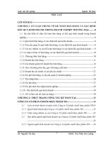 Hoàn thiện kế toán bán hàng và xác định kết quả kinh doanh tại công ty cổ phần chuỗi thực phẩm TH