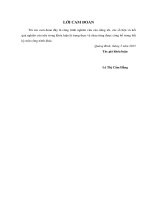 Khóa luận tốt nghiệp Biện pháp khắc phục lỗi chính tả trong dạy học tiếng việt lớp 5 trường tiểu học số 2 bắc lý – TP đồng hới – quảng bình