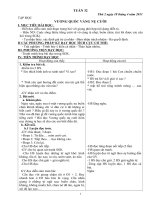 GA lớp 4 tuần 32 CKT BVMT KNS(Long)