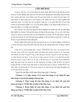 Hoàn thiện kế toán bán hàng và xác định kết quả bán hàng tại công ty TNHH đầu tư phát triển hoa nam