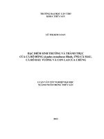 đặc điểm sinh trưởng và thành thục của cá rô đồng (anabas testudineus bloch, 1792) cà mau, cá rô đầu vuông và con lai của chúng
