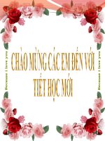 bai giang vip