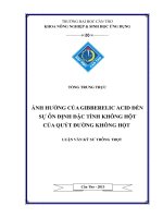 ảnh hưởng của gibberelic acid đến sư ổn đin ̣h đăc ̣ tính không hôt ̣ của quýt đường không hột