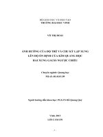 Ảnh hưởng của độ trễ và chu kỳ lặp xung lên độ ổn định của kìm quang học hai xung Gauss ngược chiều