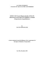 effect of fructooligosaccharides (fos) on digestive enzymes of striped catfish (pangasianodon hypophthalmus)