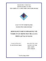 định danh vi khuẩn đối kháng với vi khuẩn gây bệnh cháy bìa lá lúa phân lập tại an giang