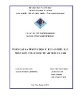 phân lập và tuyển chọn vi khuẩn hiếu khí phân giải cellulose từ vỏ trái ca cao