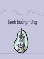 bài giảng bệnh buồng trứng full hay.PPT