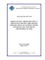 khảo sát quy trình giết mổ và những bất thường trên đường sinh dục heo cái tại phân xưởng sơ chế gia súc tập trung thành phố cần thơ
