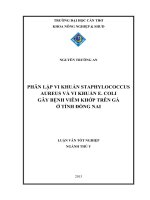 phân lập vi khuẩn staphylococcus aureus và vi khuẩn e. coli gây bệnh viêm khớp trên gà ở tỉnh đồng nai