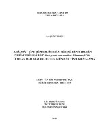 khảo sát tình hình xuất hiện một số bệnh truyền nhiễm trên cá bóp rachycentron canadum (linaeus, 1766) ở quần đảo nam du, huyện kiên hải, tỉnh kiên giang