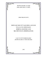 phân lập chất từ cao ethyl acetate của lá cây chùm ngây moringa oleifera lam. họ chùm ngây (moringaceae)