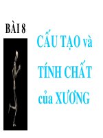 Bài cấu tạo và tính chất của xương   bài giảng điện tử tham khảo thao giảng sinh học lớp 8 (11) 