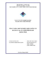 tối ưu hóa một số điều kiện nuôi cấy bacillus sp. sv1 sinh protease kiềm tính