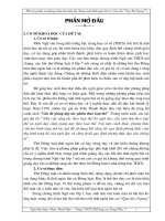 Một vài ý kiến về phương pháp dạy thơ Thất ngôn bát cú Đường luật (qua bài 