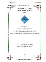 nghiên cứu tổng hợp và thử nghiệm hoạt tính sinh học của 4(naphthalene6yloxy)benzenamine