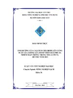 ảnh hưởng của calcium chloride lên năng suất của giống lúa mt547 trên đất phù sa nhiễm mặn trồng trong nhà lưới vụ hè thu năm 2013