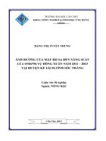 ảnh hưởng của mật độ sạ đến năng suất lúa om6796 vụ đông xuân năm 2012 – 2013 tại huyện kế sách,tỉnh sóc trăng